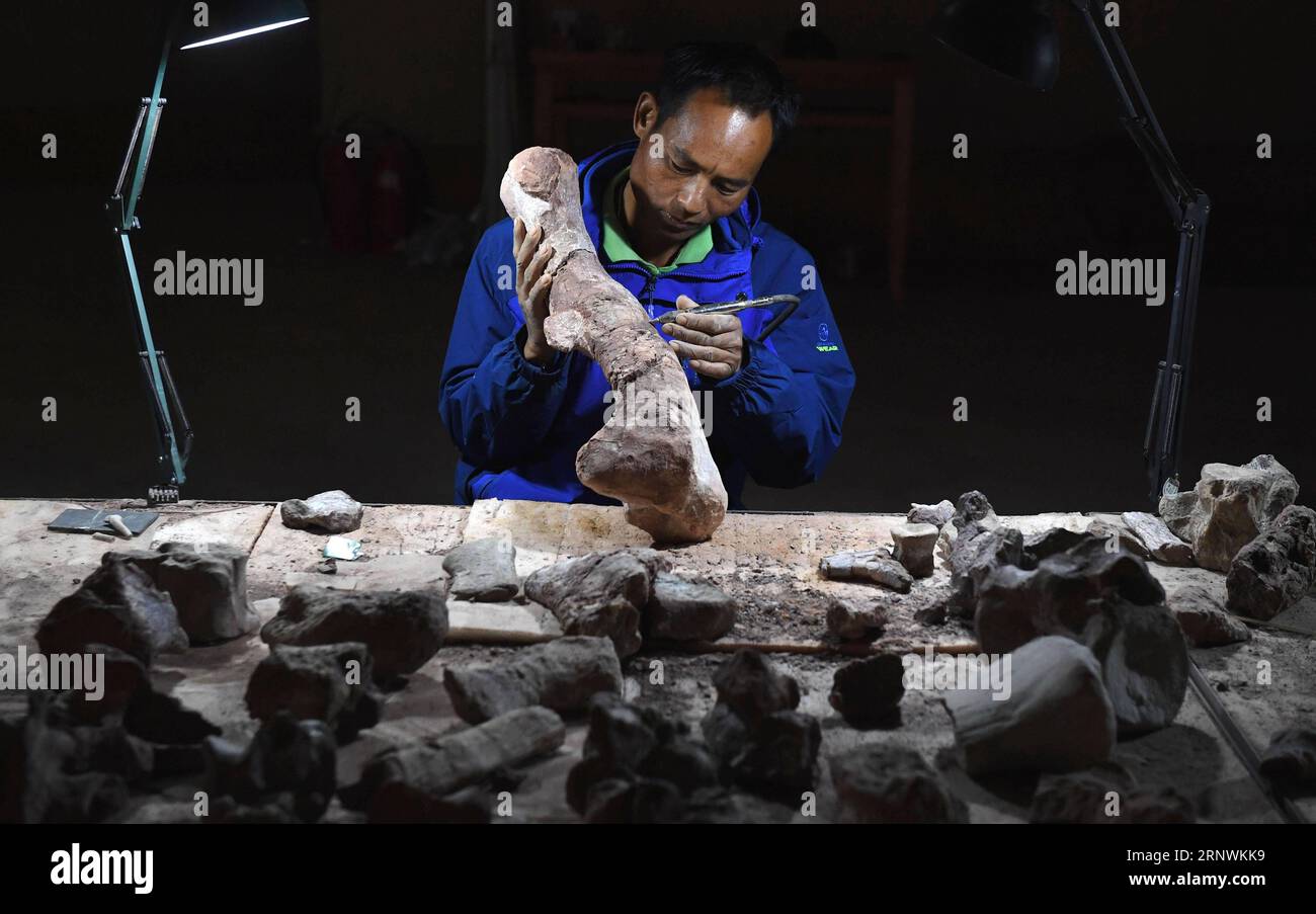 (171224) -- KUNMING, 24 décembre 2017 -- Un membre du personnel rénove des fossiles de dinosaures dans la World Dinosaur Valley dans le comté de Lufeng, province du Yunnan au sud-ouest de la Chine, 23 décembre 2017. La Lufeng World Dinosaur Valley, un parc à thème consacré aux dinosaures, exposait plus de 100 fossiles d'une variété de dinosaures. (Wyo) CHINA-YUNNAN-LUFENG-DINOSAUR PARK (CN) LinxYiguang PUBLICATIONxNOTxINxCHN Banque D'Images