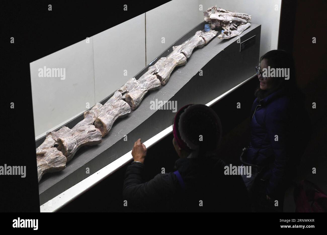 (171224) -- KUNMING, 24 décembre 2017 -- des touristes voient des fossiles de dinosaures dans la World Dinosaur Valley dans le comté de Lufeng, dans la province du Yunnan, au sud-ouest de la Chine, le 23 décembre 2017. La Lufeng World Dinosaur Valley, un parc à thème consacré aux dinosaures, exposait plus de 100 fossiles d'une variété de dinosaures. (Wyo) CHINA-YUNNAN-LUFENG-DINOSAUR PARK (CN) LinxYiguang PUBLICATIONxNOTxINxCHN Banque D'Images