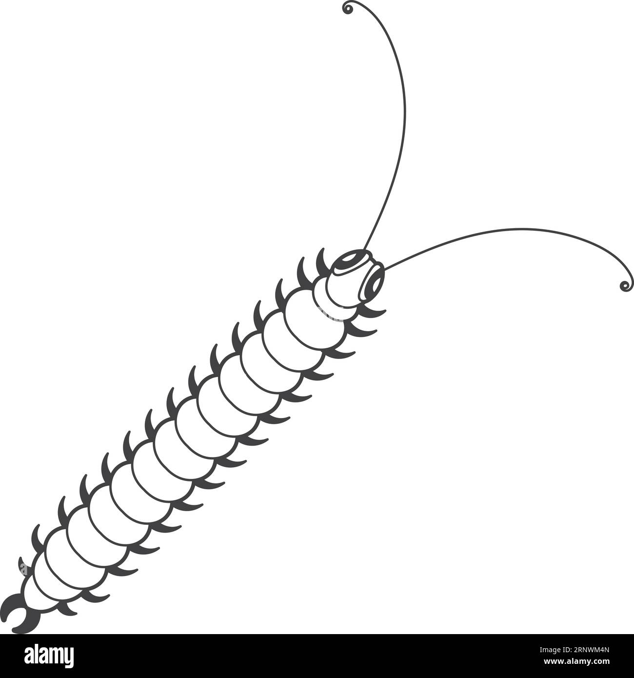 Icône centipède. Dessin d'insecte sauvage de ligne noire Illustration de Vecteur