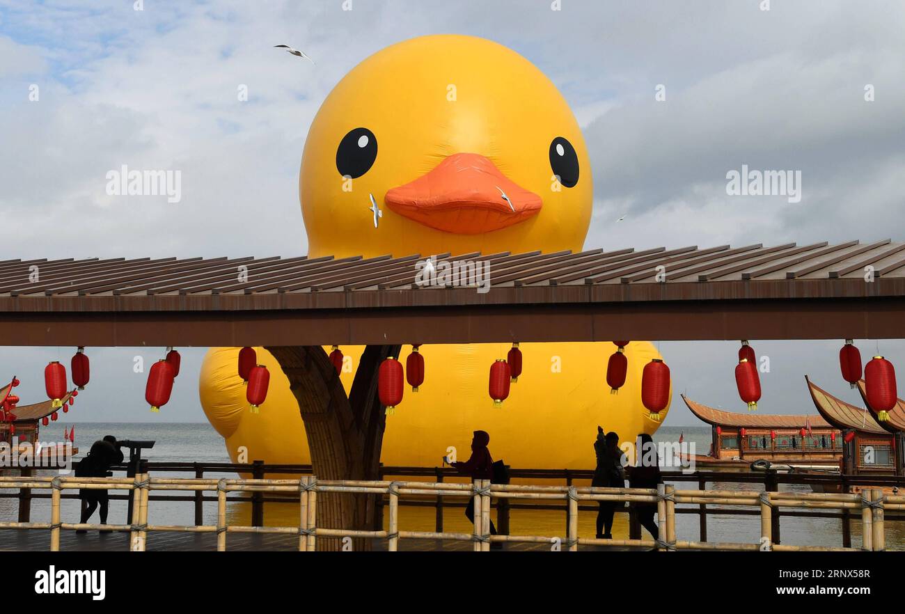 (180113) -- KUNMING, 13 janvier 2018 -- le canard en caoutchouc est vu à Kunming, capitale de la province du Yunnan du sud-ouest de la Chine, le 13 janvier 2018. L'idée originale de l'artiste néerlandais Florentijn Hofman, le canard gonflable géant en caoutchouc, sera exposée jusqu'au 2 mars. ) (Lhy) CANARD EN CAOUTCHOUC CHINA-YUNNAN-KUNMING (CN) LinxYiguang PUBLICATIONxNOTxINxCHN Banque D'Images