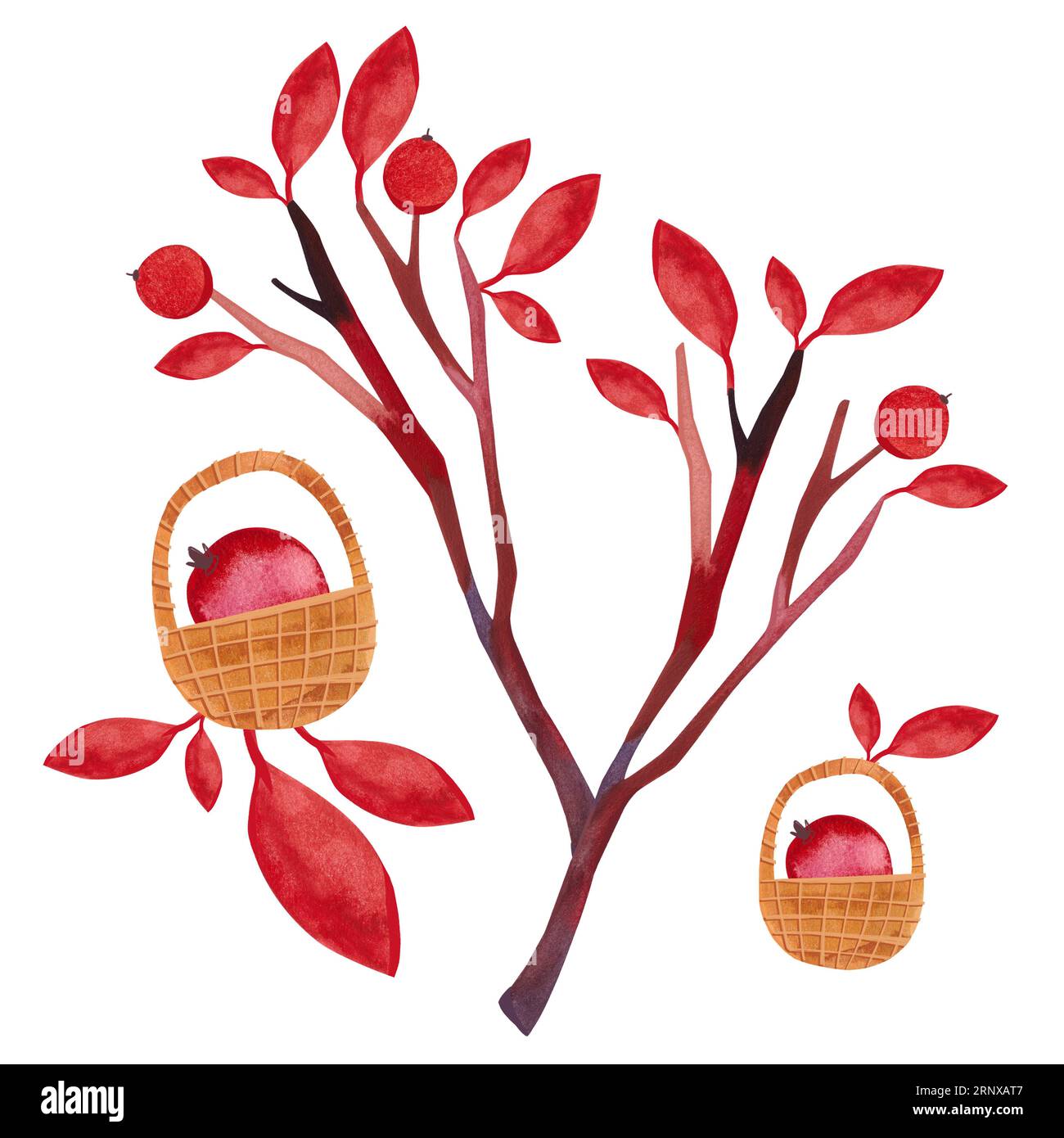 Arbre d'automne avec des feuilles rouges et des baies. Paniers avec baies. Illustration isolée à l'aquarelle sur un fond blanc dans un style de conte de fées. Clipart Banque D'Images