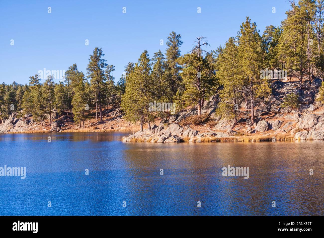 Sylvan Lake dans le parc d'État de Custer près de Rapid City, Dakota du Sud. Ce parc couvre 71 000 acres de terrain protégé dans la forêt nationale des Black Hills. Banque D'Images