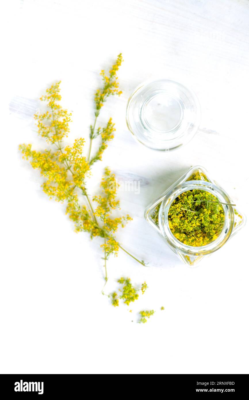 Galium verum, paille de lit de dame ou paille de lit jaune utilisé en médecine alternative fleurs séchées dans un pot médical avec du liège. Herbes médicinales Hypericum pour la maison Banque D'Images