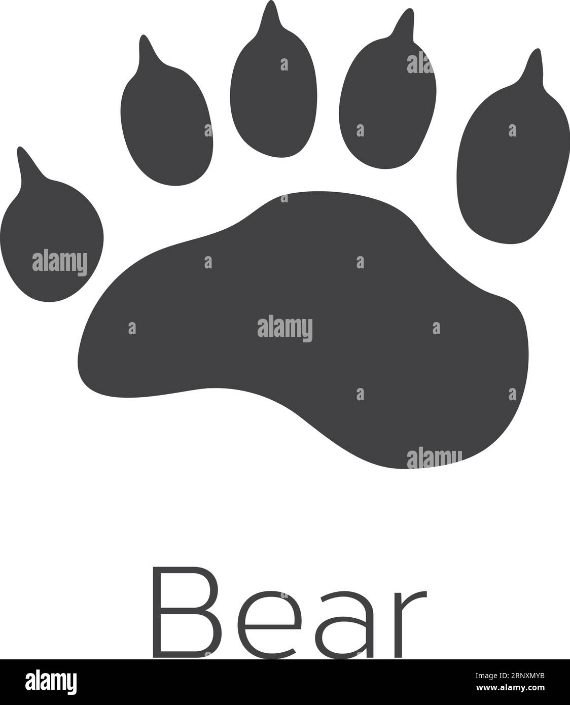Trace d'animaux forestiers. Imprimé pattes d'ours noir Illustration de Vecteur