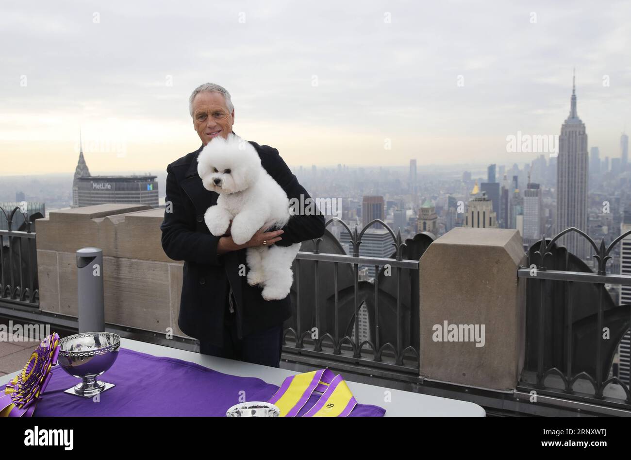 (180214) -- NEW YORK, 14 février 2018 -- le maître Bill McFadden pose pour des photos avec Flynn, un Bichon Frise gagnant le prix du meilleur spectacle lors du Westminster Kennel Club Dog Show 2018, alors qu'ils se présentent à la terrasse d'observation Top of the Rock au Rockefeller Center à New York, aux États-Unis, le 14 février 2018. ) ÉTATS-UNIS-NEW YORK-ROCKEFELLER CENTER-WESTMINSTER KENNEL CLUB SPECTACLE CANIN-FLYNN-MEILLEUR SPECTACLE WANGXYING PUBLICATIONXNOTXINXCHN Banque D'Images