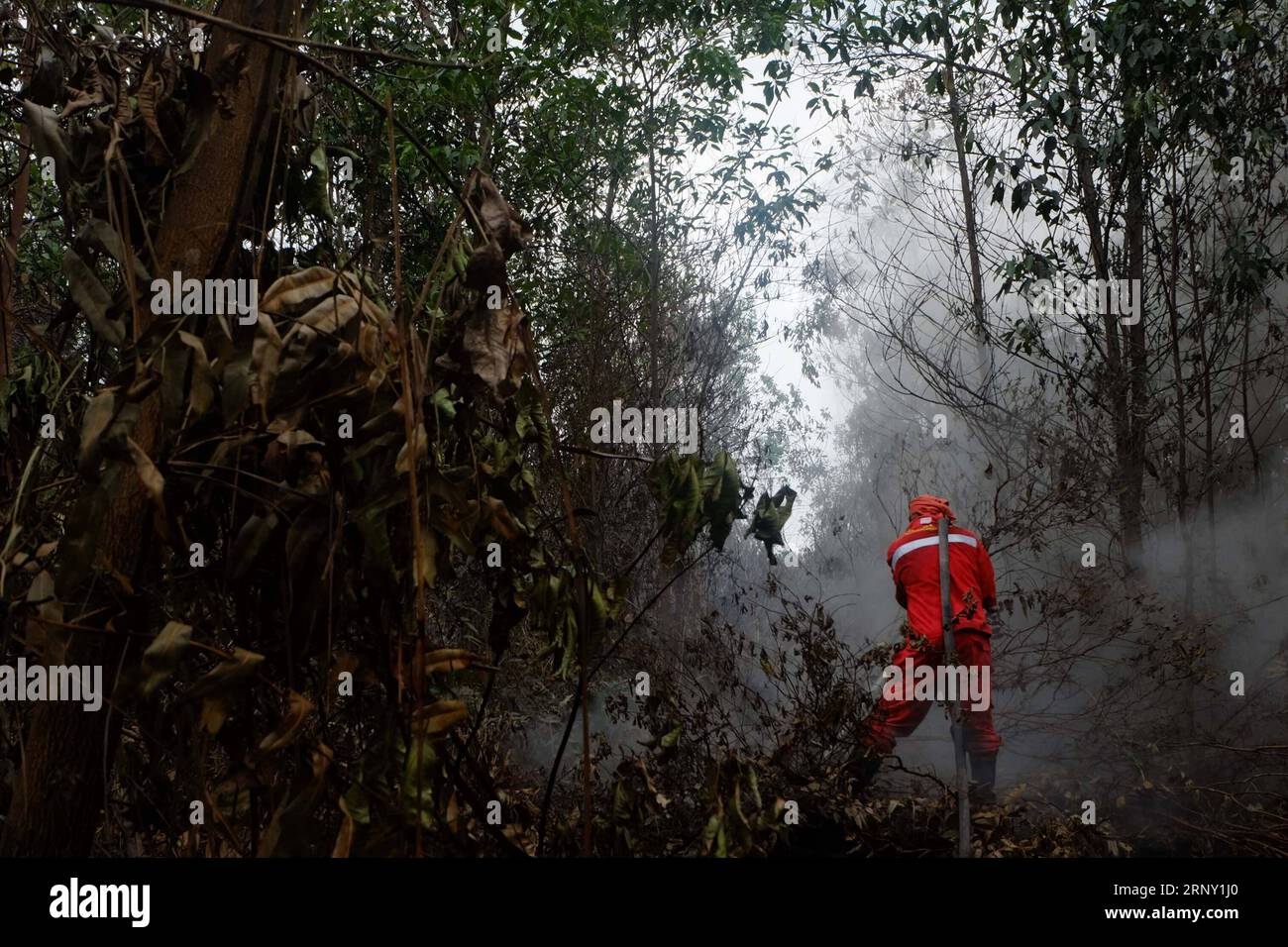 (180221) -- RIAU, 21 février 2018 -- Un pompier tente d'éteindre des feux de tourbe à Pekanbaru, Riau, Indonésie, le 21 février 2018. Plusieurs provinces indonésiennes ont établi un état d ' alerte d ' urgence pour les incendies de forêt et de terre. (Whw) INDONÉSIE-RIAU-FEU DE TOURBE DedixSutisna PUBLICATIONxNOTxINxCHN Banque D'Images