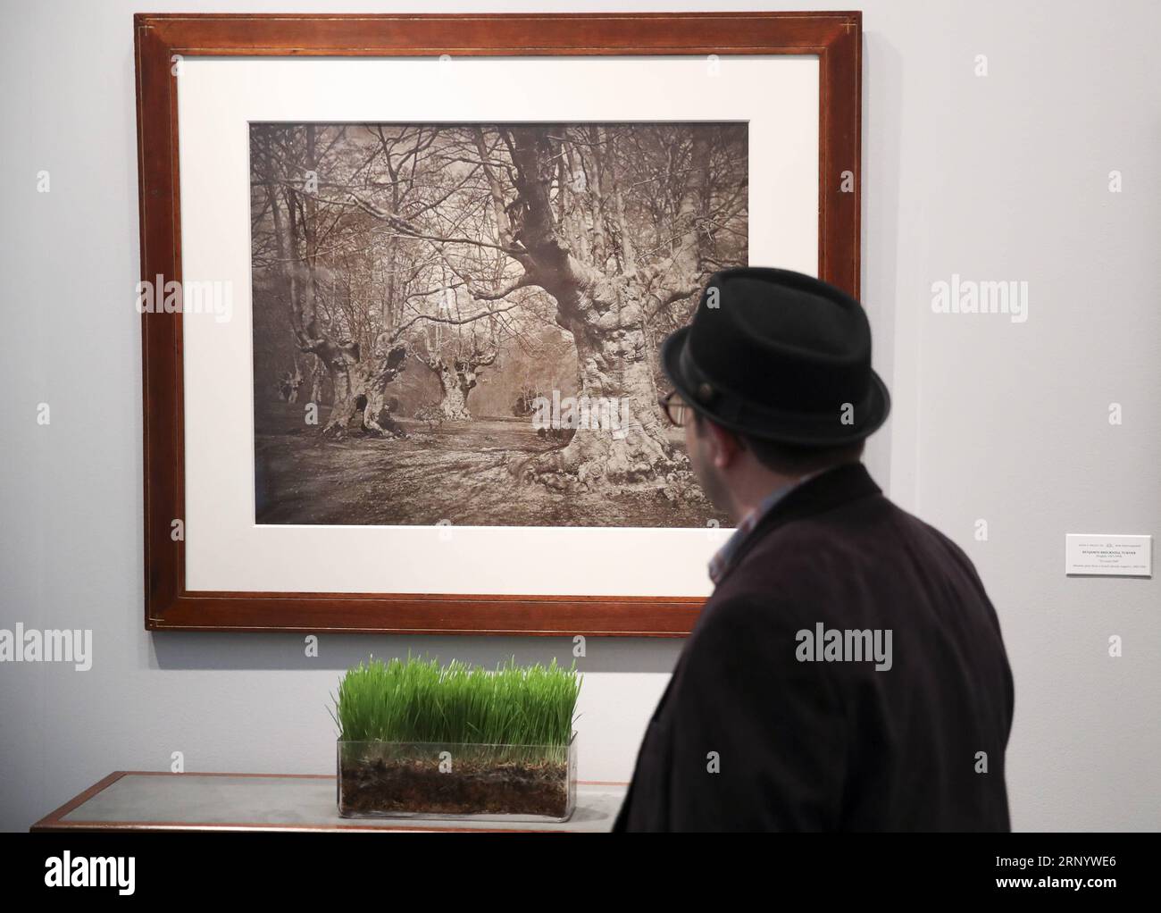 (180405) -- NEW YORK, 5 avril 2018 -- Un visiteur regarde Burnham Beeches, le travail photographique du photographe anglais Vernon Heath, au salon de photographie de l'AIPAD (Association of International Photography Art Dealers) à New York, aux États-Unis, le 5 avril 2018. La 38e édition du salon de la photographie se tient du 5 au 8 avril. Environ 100 des plus grandes galeries de photographie artistique au monde présentent une gamme de travaux de qualité muséale, y compris des photographies contemporaines, modernes et du 19e siècle, ainsi que de l'art photographique, de la vidéo et des nouveaux médias. ÉTATS-UNIS-NEW YORK-AIPAD-LA PHOTOGRAPHIE S. Banque D'Images