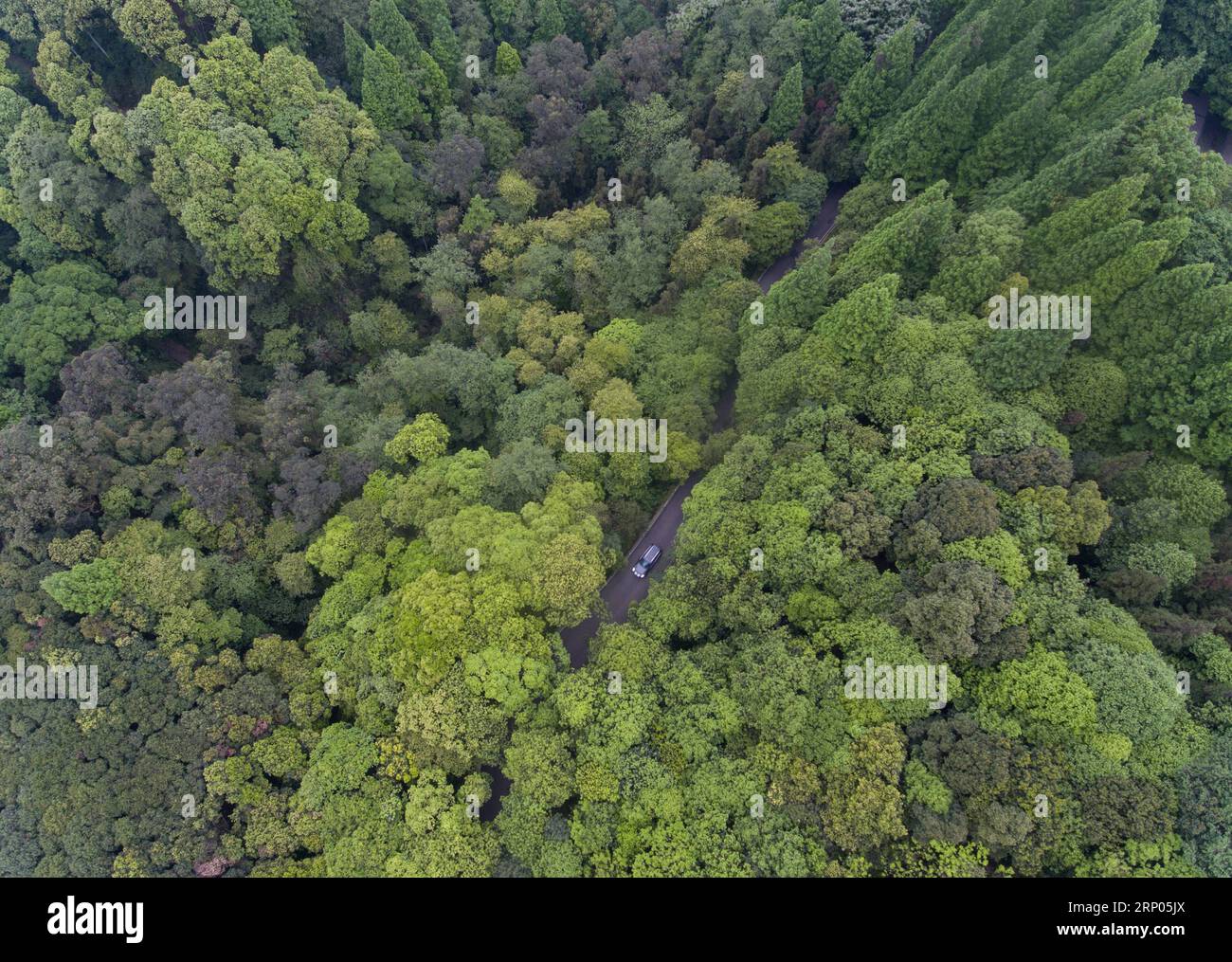 (180421) -- ya AN, 21 avril 2018 -- une photo aérienne prise le 17 avril 2018 montre que le parc de Zhangjiashan servait d'abri d'urgence pour les résidents de la ville de ya an, dans la province du Sichuan du sud-ouest de la Chine. Le 20 avril 2013, un tremblement de terre de magnitude 7,0 a frappé ya an, causant différents degrés de dommages aux bâtiments, à la circulation routière et à d'autres infrastructures dans cette région. Après cinq ans de reconstruction active, un nouveau ya an sort des ruines du tremblement de terre et prend maintenant un nouveau look. (SXK) CHINA-SICHUAN-YA AN-NEW LOOK APRÈS TREMBLEMENT DE TERRE (CN) JIANGXHONGJING PUBLICATIONXNOTXINXCHN Banque D'Images