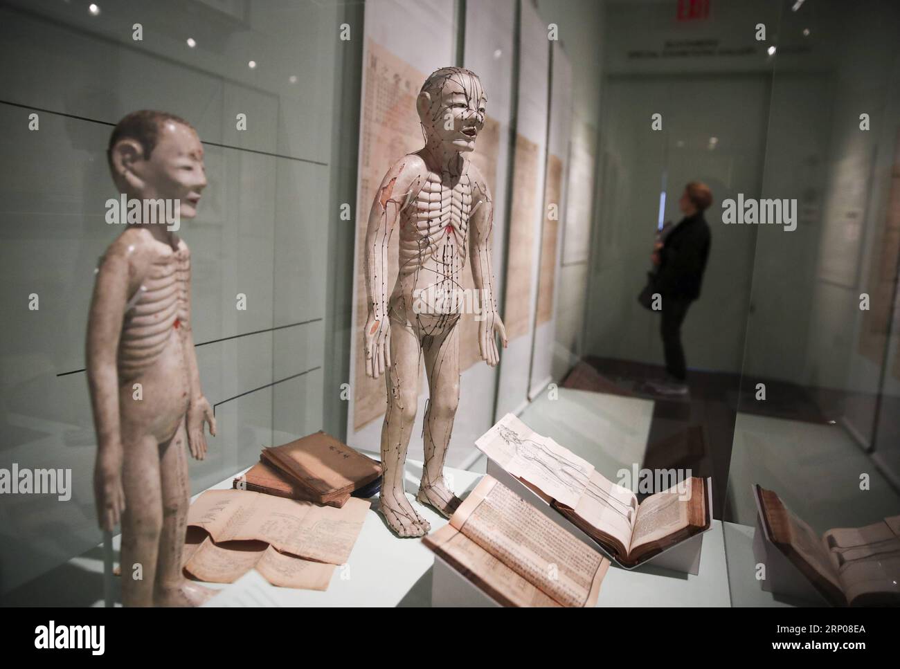 (180425) -- NEW YORK, 25 avril 2018 -- Un visiteur regarde des expositions pendant l'avant-première de Chinese Medicine in America: idées, personnes et pratiques convergentes et sur les étagères de Kam Wah Chung & Co. au Museum of Chinese in America à New York, aux États-Unis, le 25 avril 2018. Le Museum of Chinese in America (MOCA) de New York a dévoilé mercredi deux expositions révolutionnaires sur la médecine traditionnelle chinoise (MTC) et les pratiques en Amérique à travers des artefacts médicaux historiques et de l'art contemporain Médecine chinoise en Amérique : idées, personnes et pratiques convergentes et sur les étagères Banque D'Images