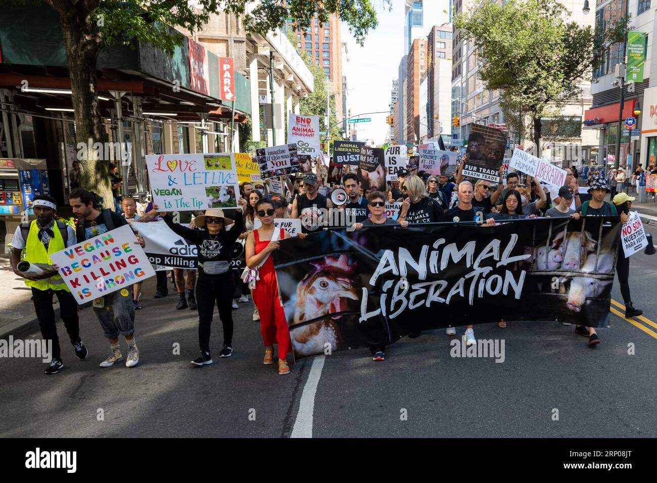New York, États-Unis. 21 juillet 2023. Des militants des droits des animaux défilent lors de la Marche de libération des animaux de 2023 à New York, New York, le 2 septembre 2023. (Photo Gabriele Holtermann/Sipa USA) crédit : SIPA USA/Alamy Live News Banque D'Images