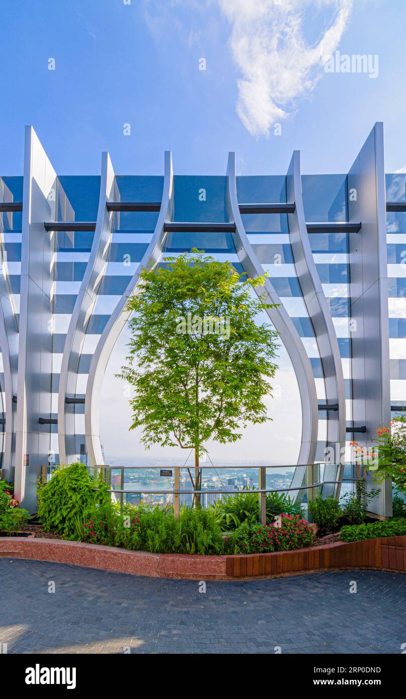 Détail du jardin arboré sur le toit du 51e niveau dans le bâtiment écologique et durable CapitaSpring, 88 Market Street, Singapour Banque D'Images