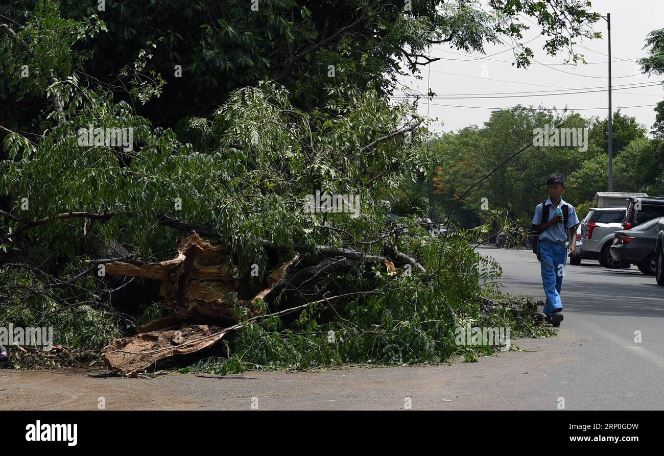 (180514) -- NEW DELHI, le 14 mai 2018 -- Un garçon passe devant des arbres tombés à New Delhi, Inde, le 14 mai 2018. Le nombre de morts a augmenté à 65 à travers l'Inde après que des tempêtes de poussière, des orages et de la pluie accompagnés de rafales de vent ont frappé de nombreux États, ont déclaré les responsables lundi. (ly) INDE-NEW DELHI-STORM ZhangxXijie PUBLICATIONxNOTxINxCHN Banque D'Images