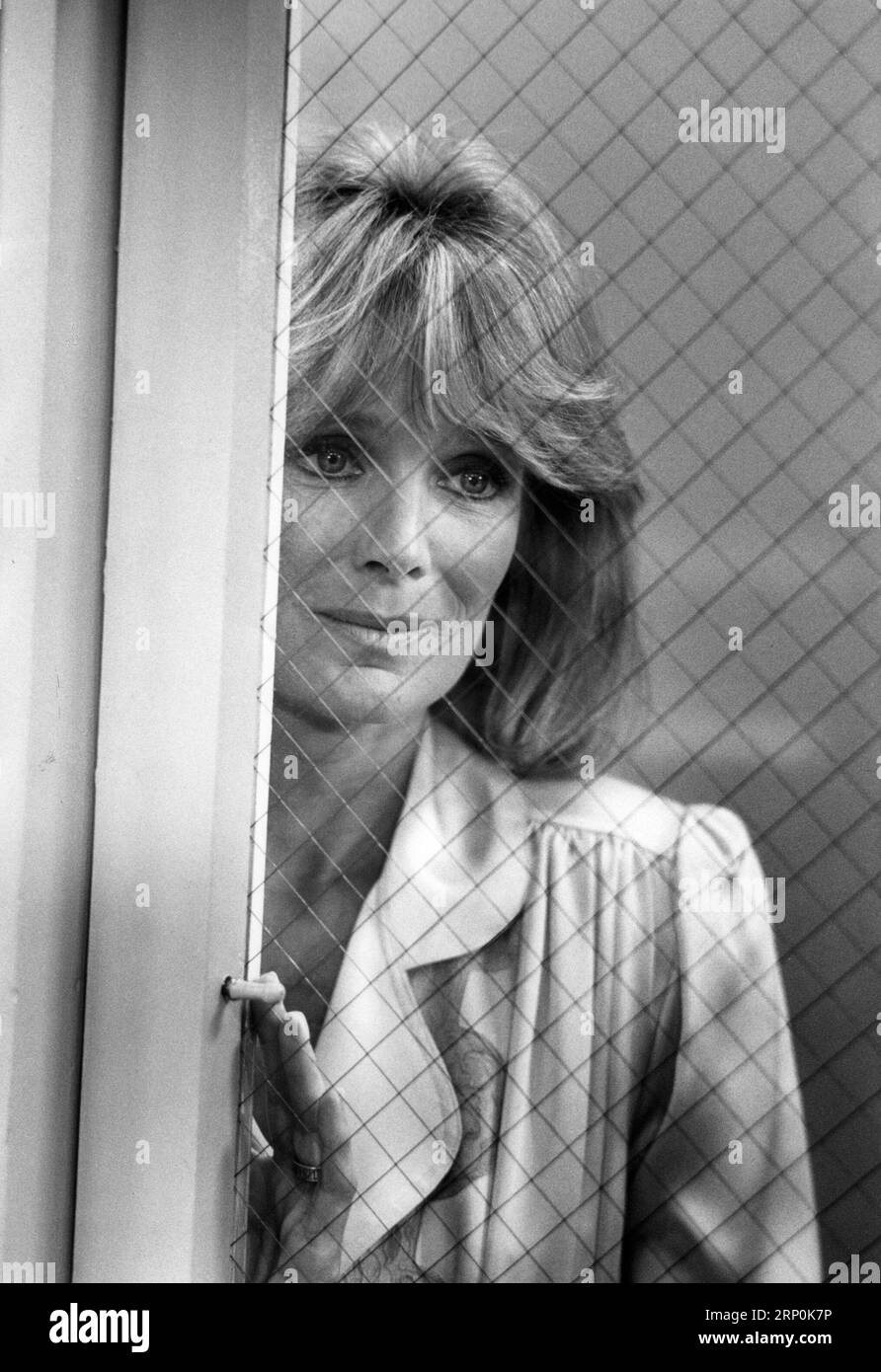 Série télévisée Dynasty Banque D'Images