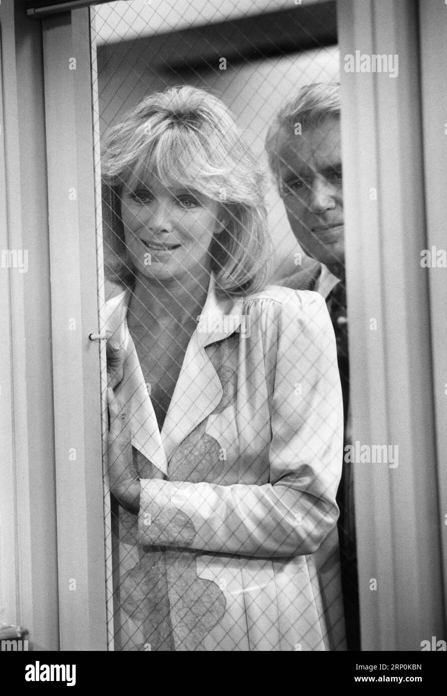 Série télévisée Dynasty Banque D'Images