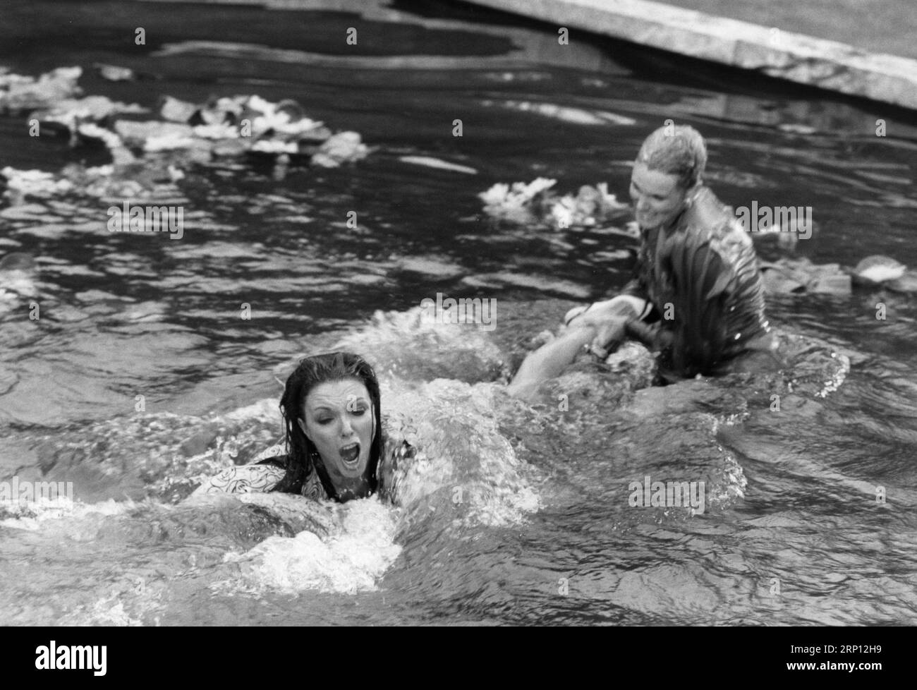 Série télévisée Dynasty Banque D'Images