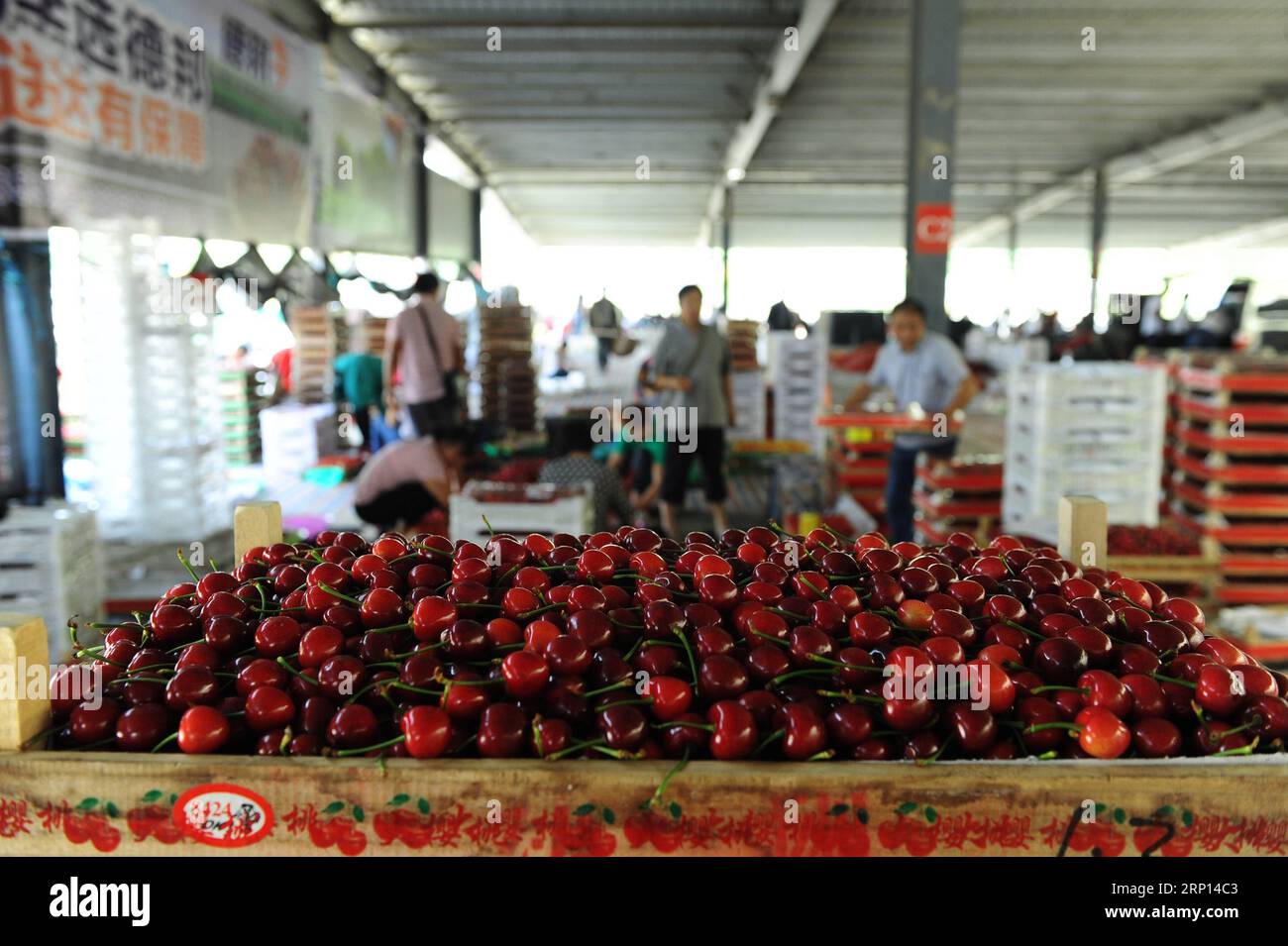 (180608) -- YANTAI, 8 juin 2018 -- une photo prise le 7 juin 2018 montre un marché de cerises dans la ville de Zhanggezhuang à Yantai, dans la province du Shandong de l est de la Chine. La plantation de cerisiers à Zhanggezhuang a atteint 1 333 hectares en 2017. Le revenu disponible par habitant des agriculteurs locaux a dépassé 3 100 dollars américains. )(mcg) CHINE-SHANDONG-YANTAI-PLANTATION DE CERISES (CN) RenxPengfei PUBLICATIONxNOTxINxCHN Banque D'Images