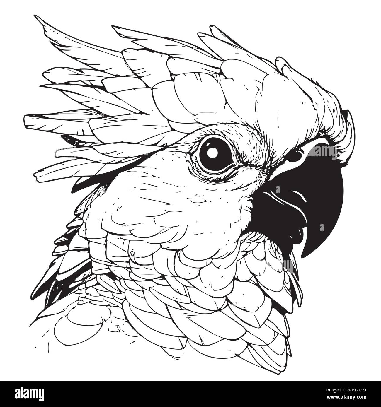 Cockatoo perroquet dessin animé tête dessinée à la main illustration oiseaux exotiques Illustration de Vecteur