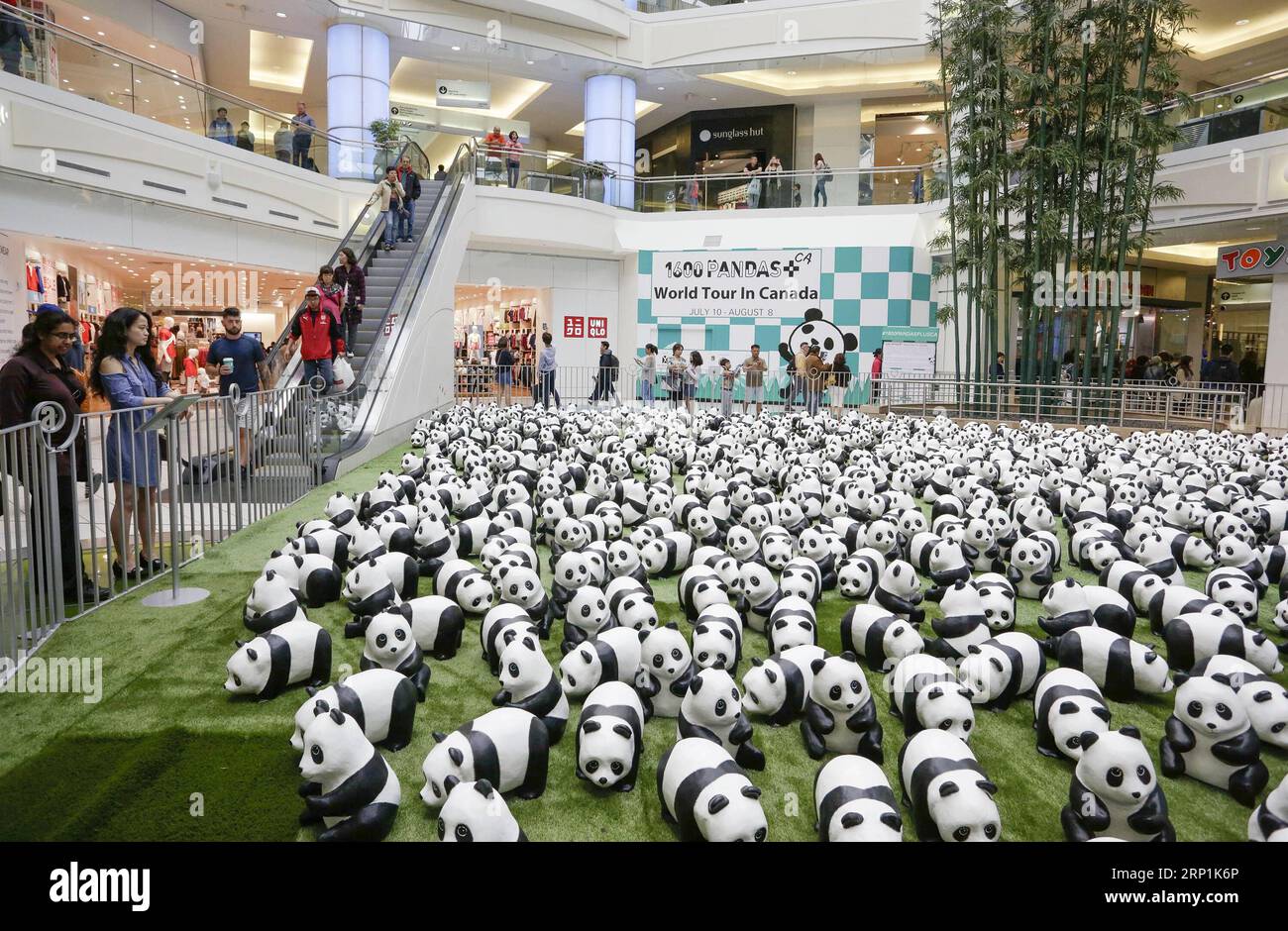 (180711) -- VANCOUVER, le 11 juillet 2018 -- une photo prise le 10 juillet 2018 montre des pandas en papier-mache lors d'une exposition de l'œuvre d'art en papier-mache 1 600 Pandas au centre commercial Metrotown de Vancouver, Canada. 1 600 Pandas , une œuvre d'art en papier mache créée en 2008 par l'artiste français Paulo Grangeon pour le Fonds mondial pour la nature (WWF), a commencé sa tournée d'exposition au Canada mardi. ) CANADA-VANCOUVER-PAPIER-MACHE PANDA-EXHIBITION LIANGXSEN PUBLICATIONXNOTXINXCHN Banque D'Images