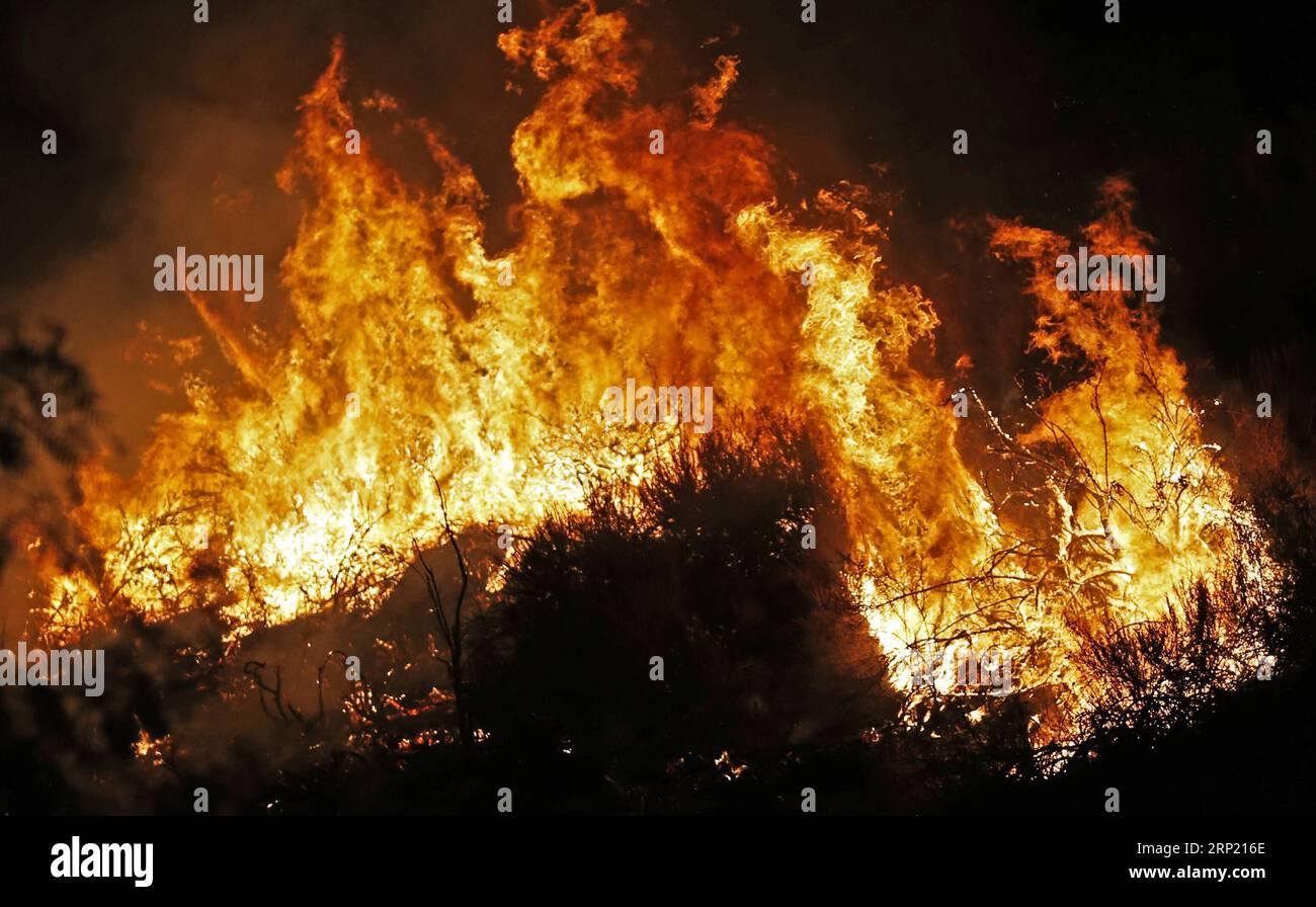(180810) -- LAC ELSINORE, le 10 août 2018 -- un feu de forêt brûle dans la forêt nationale de Cleveland, au lac Elsinore, Californie, États-Unis, le 9 août 2018. Des dizaines de feux de forêt brûlent actuellement en Californie. )(dh) U.S.-CALIFORNIA-WILDFIRE LixYing PUBLICATIONxNOTxINxCHN Banque D'Images