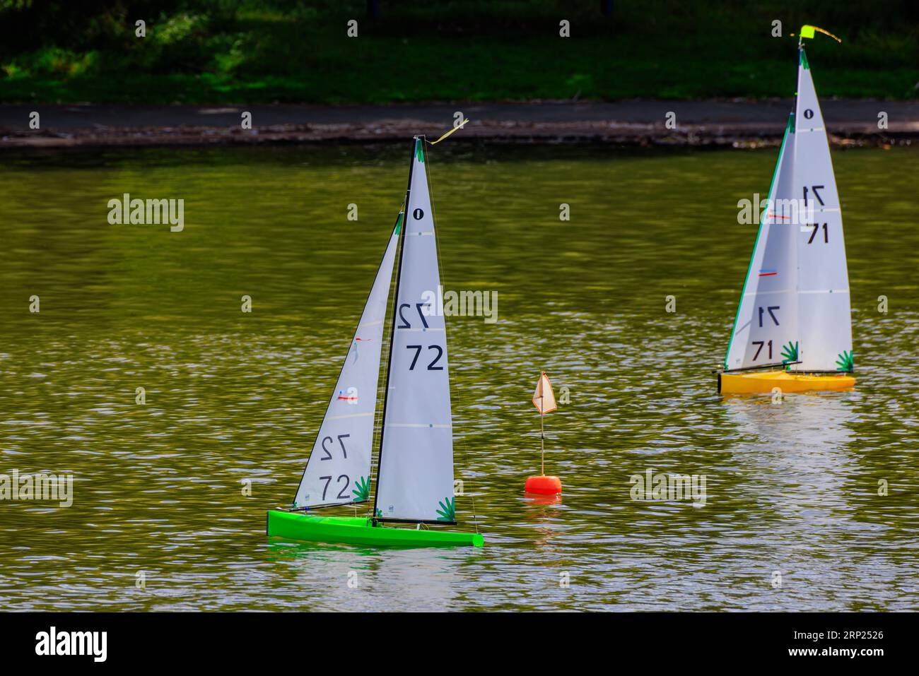 Woodspring modèle Sling club International classe un mètre Banque D'Images