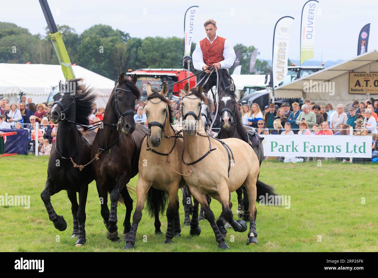 31st août 2023 les chevaux d'action Atkinson divertissent la foule au spectacle du comté de Bucks Banque D'Images