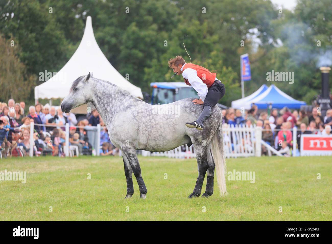 31st août 2023 les chevaux d'action Atkinson divertissent la foule au spectacle du comté de Bucks Banque D'Images