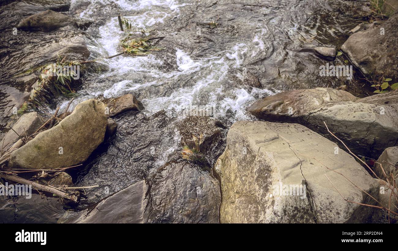 Gros plan de rivière et de pierres. De l'eau dans une rivière de montagne déchaînée. Beau fond naturel de pierres et d'eau. La texture de l'eau propre et rapide Banque D'Images