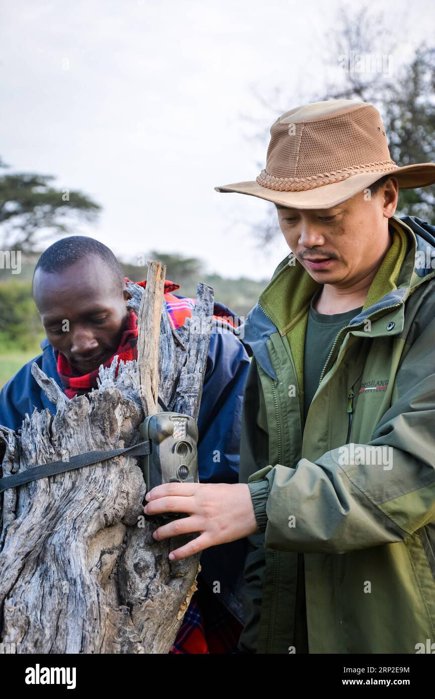 (180901) -- BEIJING, 1 septembre 2018 -- Zhuo Qiang (R), un conservateur chinois de la faune, installe une caméra à déclenchement infrarouge à OL Kinyei conservancy à Maasai Mara, Kenya, le 9 juillet 2018.) Xinhua Headlines : de Guangzhou à Nairobi, faire des rêves une réalité LyuxShuai PUBLICATIONxNOTxINxCHN Banque D'Images