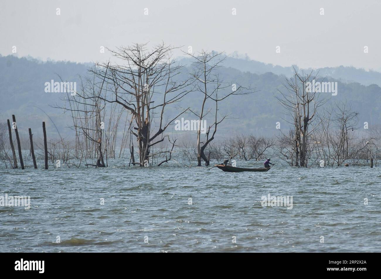 (180913) -- SUMEDANG, 13 septembre 2018 -- Un homme de la région déploie son filet pour attraper du poisson devant les arbres morts vus du fond du réservoir de Jatigede dans la régence de Sumedang, province de Java Ouest en Indonésie, le 13 septembre 2018. Une saison sèche prolongée a entraîné une diminution continue des eaux du réservoir de Jatigede, dans la régence de Sumedang, dans la province de Java occidental. En conséquence, les décombres des bâtiments appartenant à des résidents qui avaient été inondés par le barrage géant, sont maintenant réapparus. INDONÉSIE-OUEST JAVA-SUMEDANG-SAISON SÈCHE DANS JATIGEDE RÉSERVOIR VERIXSANOVRI PUBLICATIONXNOTXINXCHN Banque D'Images