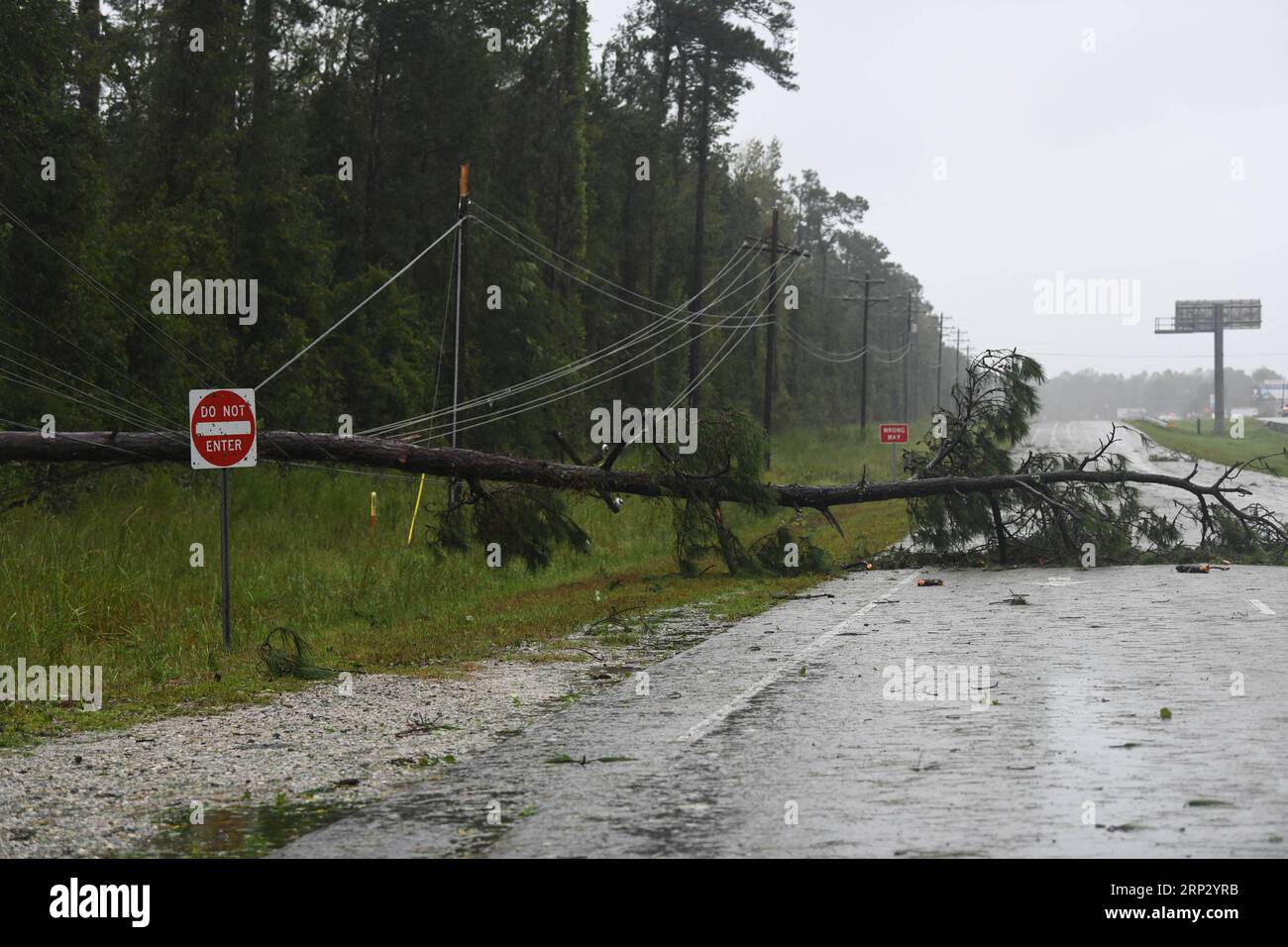 (180915) -- WASHINGTON, 15 septembre 2018 -- Un arbre tombé se trouve sur le bord d'une route près de la côte, en Caroline du Nord, aux États-Unis, le 14 septembre 2018. Au moins cinq personnes ont été tuées à ce jour à la suite de l'ouragan Florence qui a été rétrogradé vendredi après-midi en tempête tropicale avec des vents de 70 mph (110 km/h) le long de la côte est des États-Unis. (YY) États-Unis-CÔTE EST-OURAGAN FLORENCE-AFTERMATH LiuxJie PUBLICATIONxNOTxINxCHN Banque D'Images