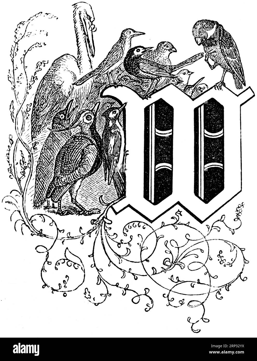 Fritz Reuter (1810) (1874) écrivain et poète bas-allemand, Hanne Nuete un de luette Pudel, Eine Vogel, und Menschengeschichte, Platt, Bas-allemand Banque D'Images