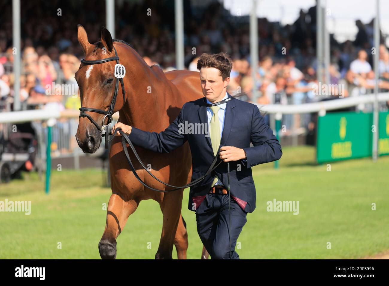 30 août 2023 Burghley Horse Trials inspection vétérinaire Tom McEwen avec Toledo de Kerser Banque D'Images