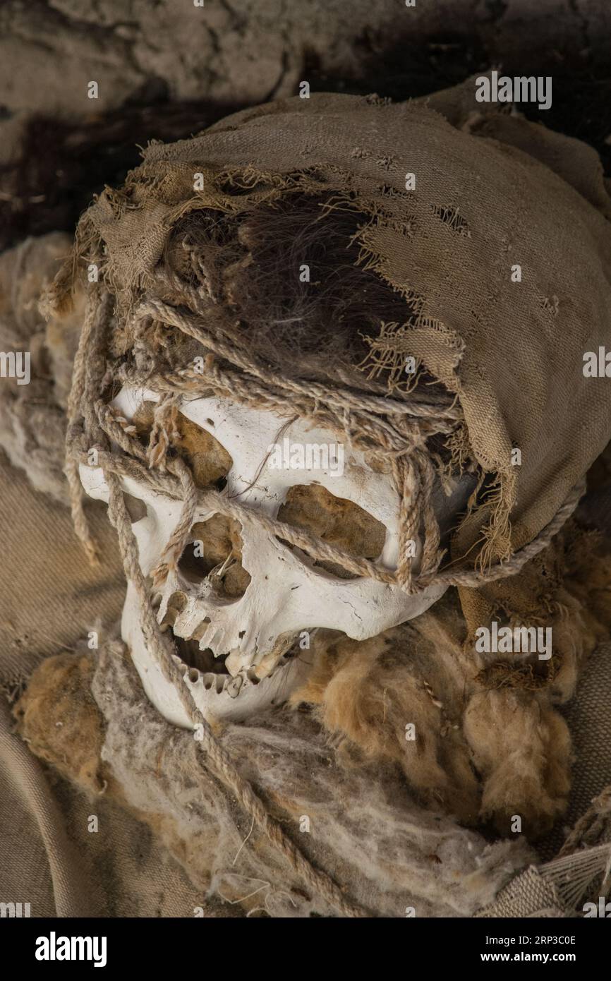 Momie Nazca au cimetière de Chauchilla près de Nazca (Pérou) Banque D'Images