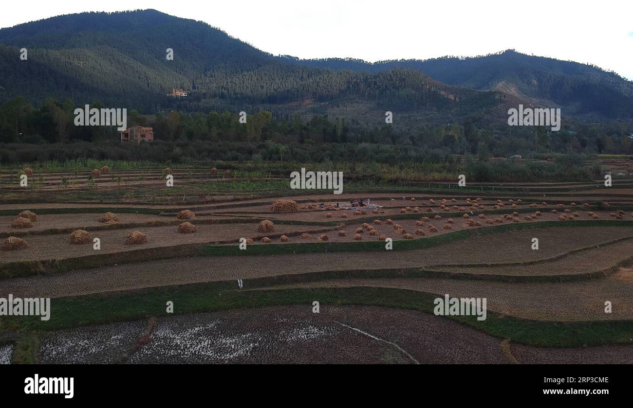 (180930) -- SRINAGAR, 30 septembre 2018 -- une photo prise le 30 septembre 2018 montre une vue aérienne de champs dans un village du district d'Anantnag à environ 72 km au sud de la ville de Srinagar, la capitale estivale du Cachemire contrôlé par les Indiens.) (lrz) CACHEMIRE-SRINAGAR-VIE QUOTIDIENNE JavedxDar PUBLICATIONxNOTxINxCHN Banque D'Images