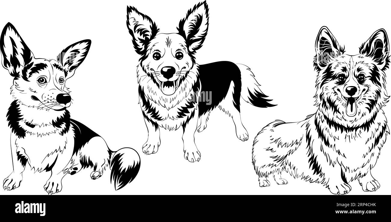 Ensemble de croquis noir et blanc de chien de race corgi galloise souriant Illustration de Vecteur