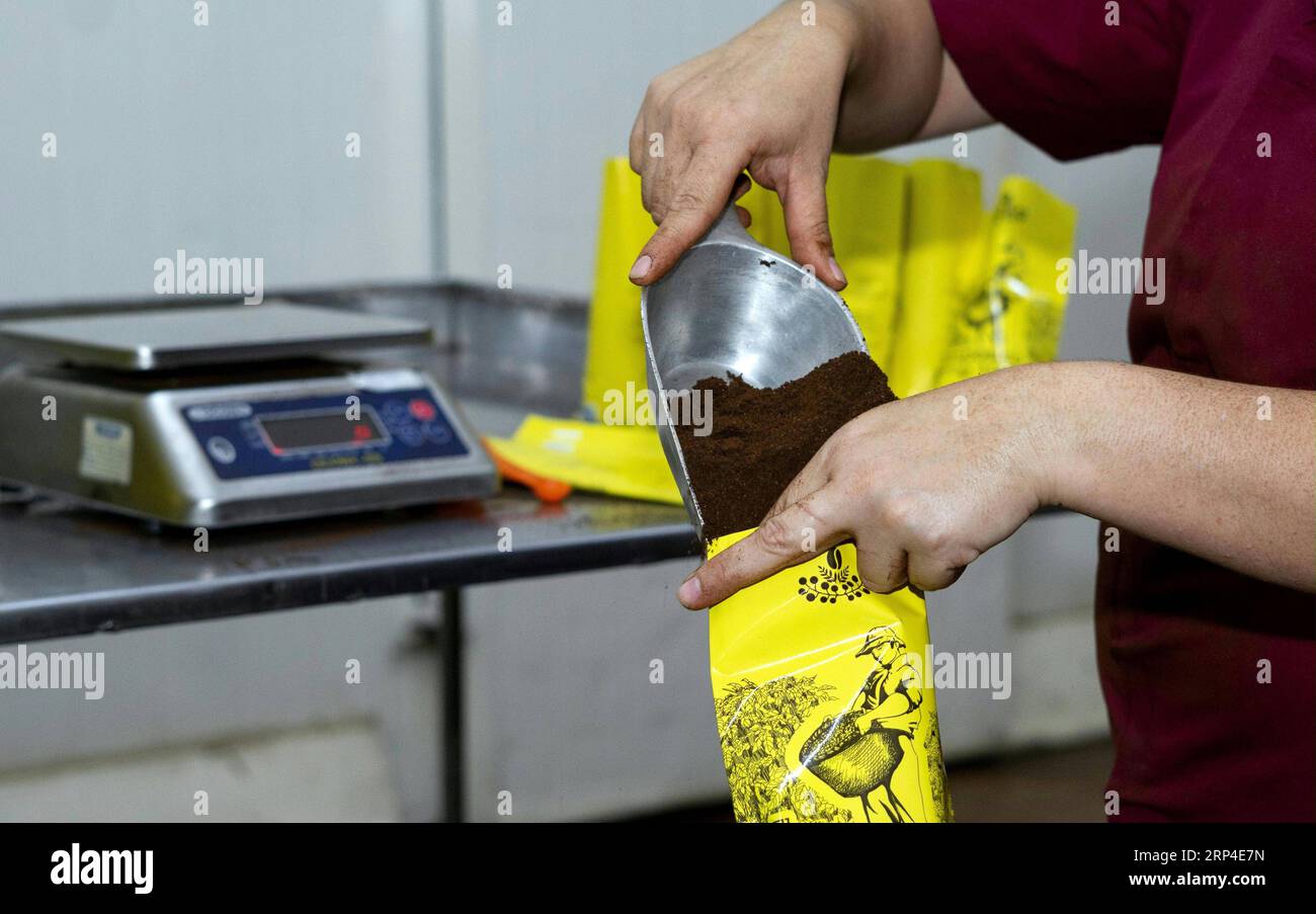 (181106) -- GRECIA, 6 novembre 2018 -- un travailleur emballe du café en poudre dans une usine de CoopeVictoria à Grecia, Costa Rica, le 31 octobre 2018. CoopeVictoria, la première coopérative fondée au Costa Rica il y a environ 75 ans, rassemble quelque 3 000 producteurs de café qui exportent leurs grains, entiers et moulus, vers différentes parties du monde, y compris récemment la Chine, bien que les expéditions vers le pays asiatique aient été relativement modestes. CoopeVictoria prévoit maintenant concurrencer pour une plus grande part du marché de consommation en croissance de la Chine en participant à la toute première China International Import Expo (CIIE) prévue du 5-10 au 27 novembre à S. Banque D'Images