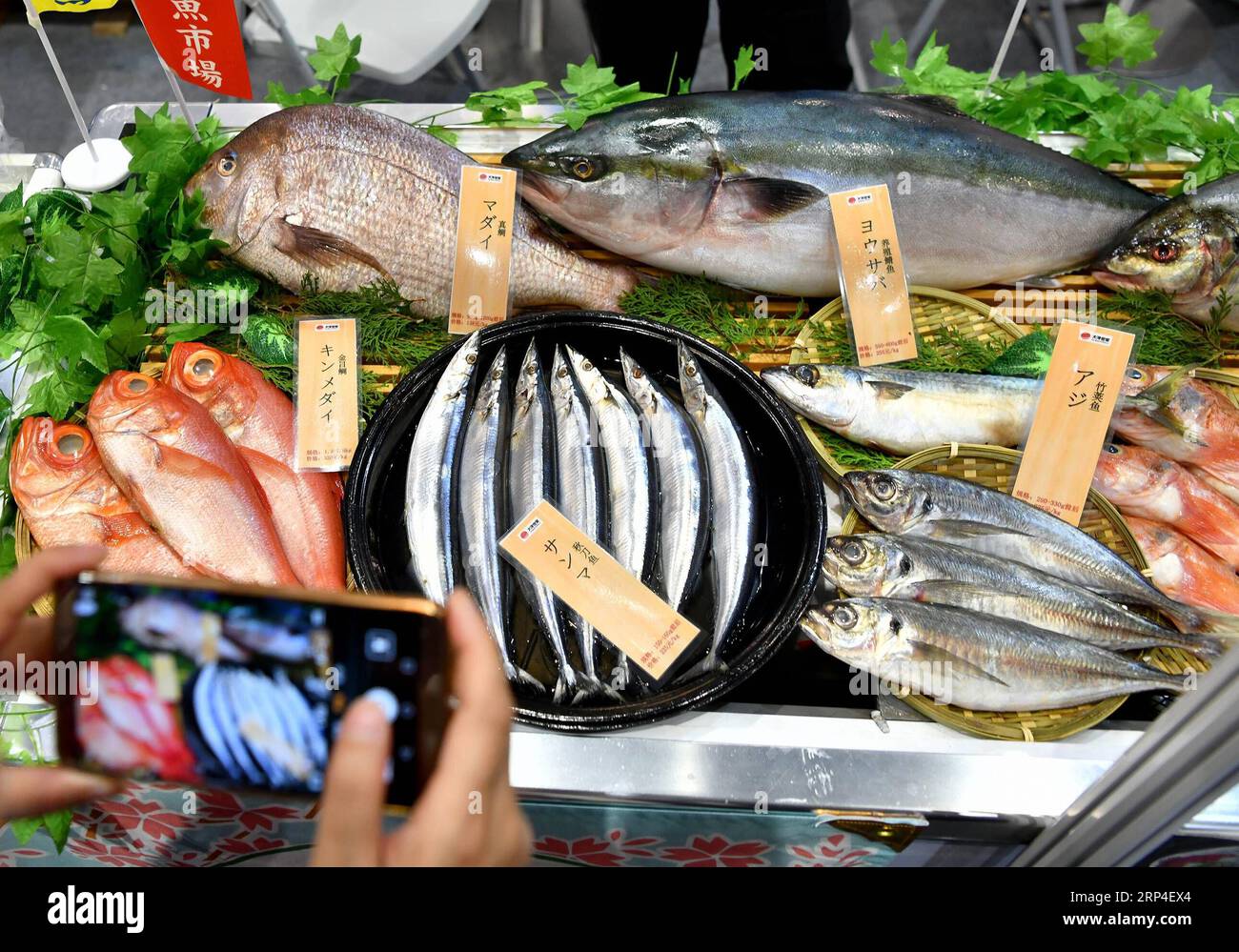 (181106) -- SHANGHAI, le 6 novembre 2018 -- Un visiteur prend des photos d'aliments de mer du Japon à la première China International Import Expo (CIIE) à Shanghai, dans l'est de la Chine, le 6 novembre 2018. Plus de 3 000 entreprises de plus de 130 pays et régions ont participé à la CIIE. (IMPORT EXPO) CHINA-SHANGHAI-CIIE-BUSINESS EXHIBITION (CN) LIXXIN PUBLICATIONXNOTXINXCHN Banque D'Images