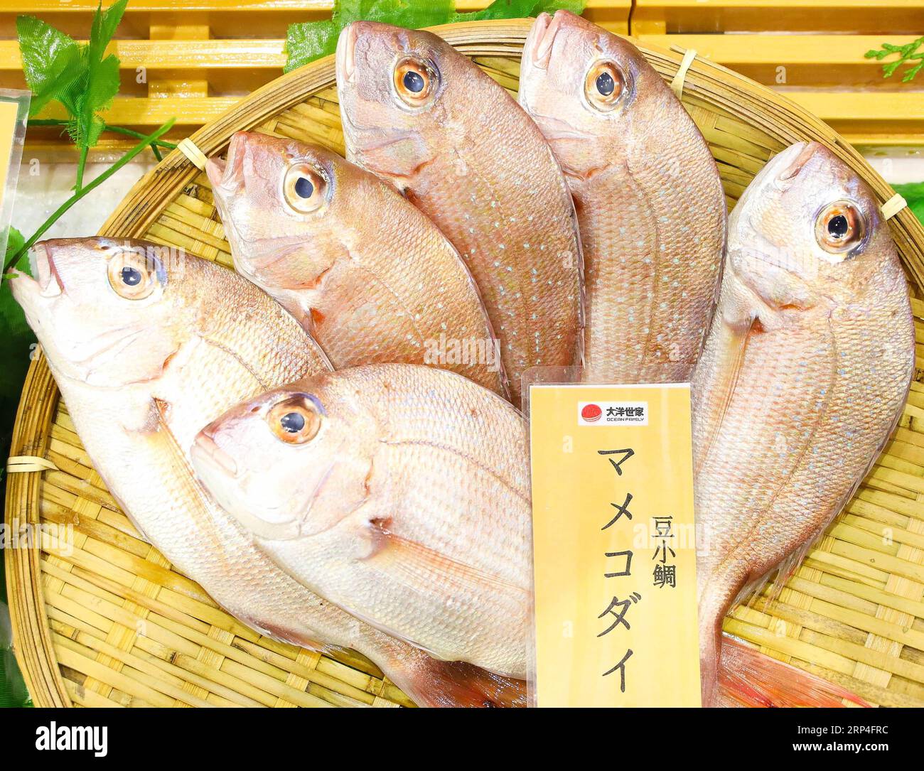 (181107) -- SHANGHAI, 7 novembre 2018 -- une photo prise le 7 novembre 2018 montre des fruits de mer du Japon dans la zone Food & Agricultural Products lors de la première China International Import Expo (CIIE) à Shanghai, dans l'est de la Chine. Divers aliments du monde entier sont exposés au CIIE. )(zyd) (IMPORT EXPO)CHINA-SHANGHAI-CIIE-FOOD (CN) LiuxDawei PUBLICATIONxNOTxINxCHN Banque D'Images