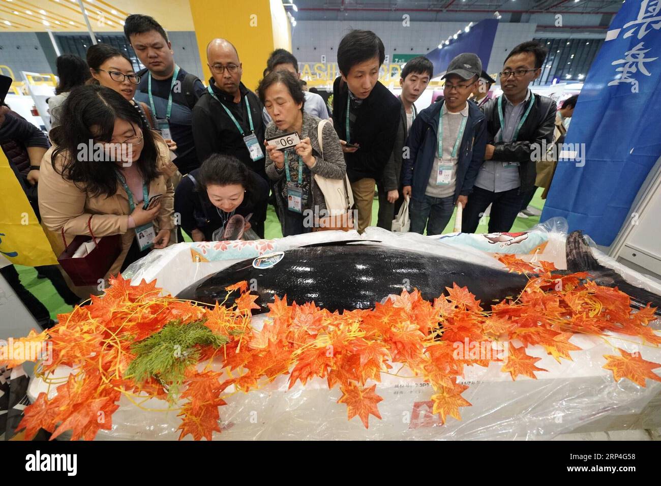 (181107) -- SHANGHAI, le 7 novembre 2018 -- les visiteurs voient le thon rouge du Japon dans la zone des produits alimentaires et agricoles lors de la première exposition internationale d'importation de Chine (CIIE) à Shanghai, dans l'est de la Chine, le 7 novembre 2018. Divers aliments du monde entier sont exposés au CIIE. )(zyd) (IMPORT EXPO)CHINA-SHANGHAI-CIIE-FOOD (CN) ShenxBohan PUBLICATIONxNOTxINxCHN Banque D'Images