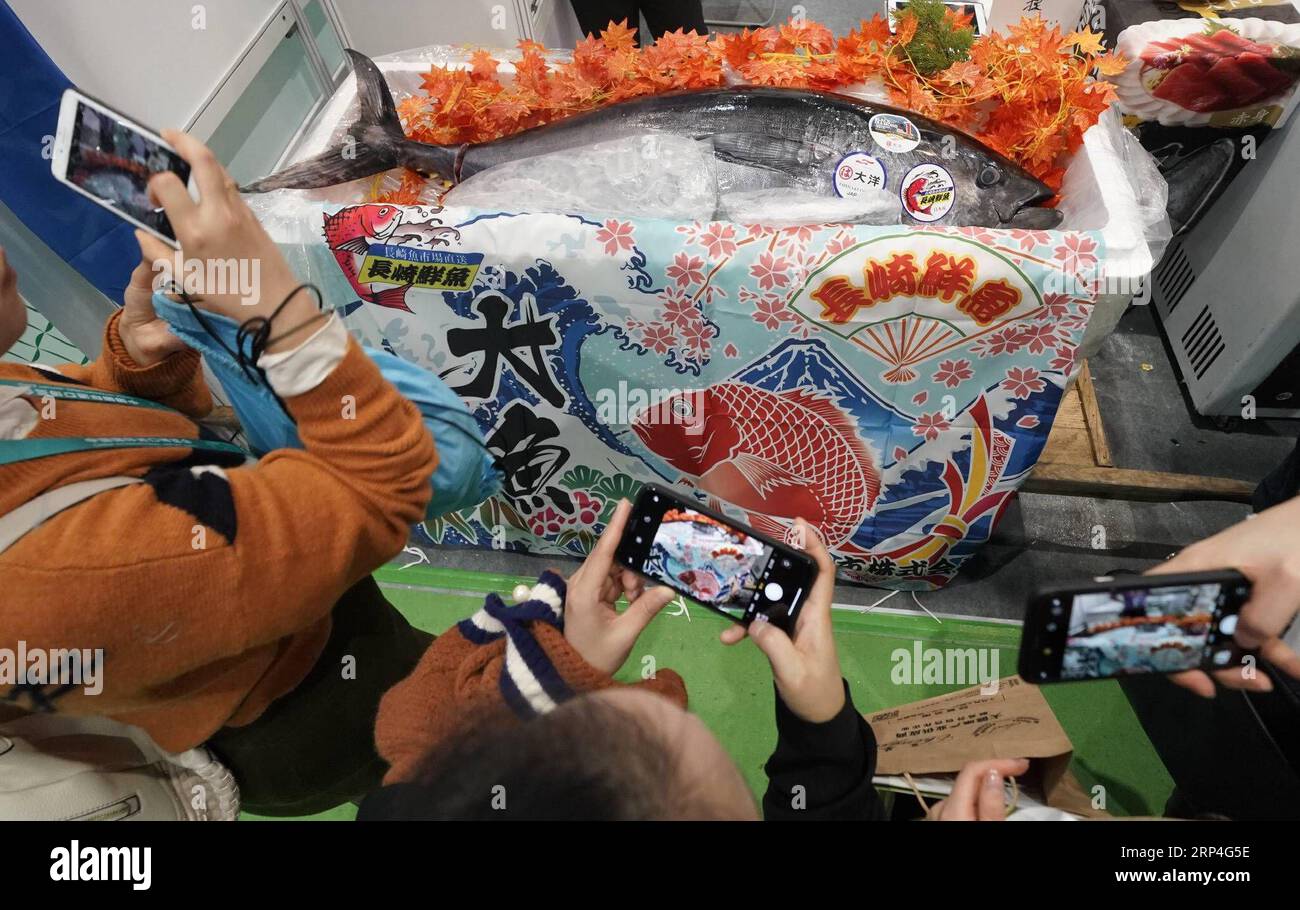 (181107) -- SHANGHAI, le 7 novembre 2018 -- les visiteurs voient le thon rouge du Japon dans la zone des produits alimentaires et agricoles lors de la première exposition internationale d'importation de Chine (CIIE) à Shanghai, dans l'est de la Chine, le 7 novembre 2018. Divers aliments du monde entier sont exposés au CIIE. )(zyd) (IMPORT EXPO)CHINA-SHANGHAI-CIIE-FOOD (CN) ShenxBohan PUBLICATIONxNOTxINxCHN Banque D'Images