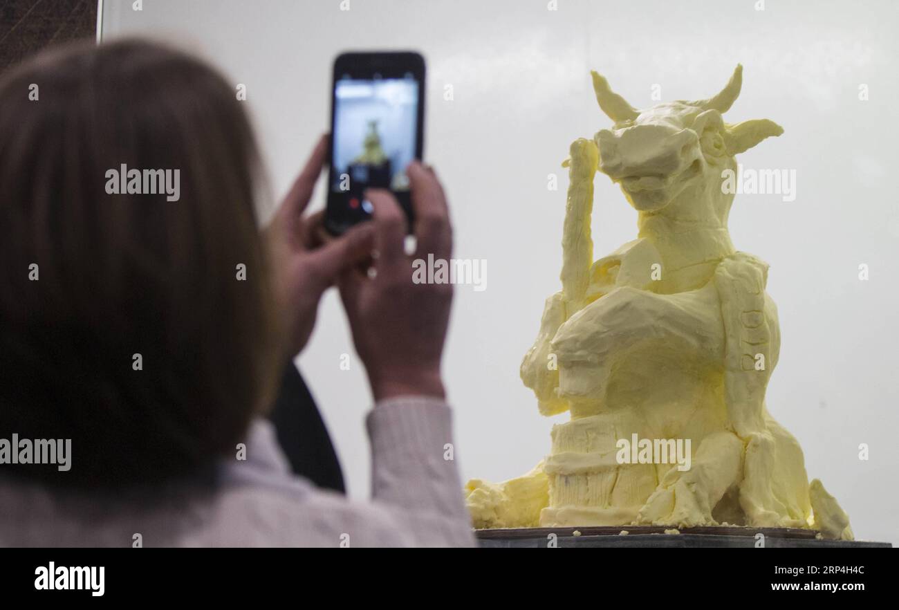 (181108) -- TORONTO, le 8 novembre 2018 -- Un visiteur prend des photos d'une sculpture de beurre lors du concours de sculpture de beurre de la Foire royale d'hiver agricole 2018 à Toronto, Canada, le 8 novembre 2018. L'événement annuel de dix jours a débuté le 2 novembre, présentant des produits agricoles, du bétail et de nouvelles technologies agricoles. ) CANADA-TORONTO-ROYAL AGRICULTURAL WINTER FAIR-BUTTER SCULPTURES ZOUXZHENG PUBLICATIONXNOTXINXCHN Banque D'Images