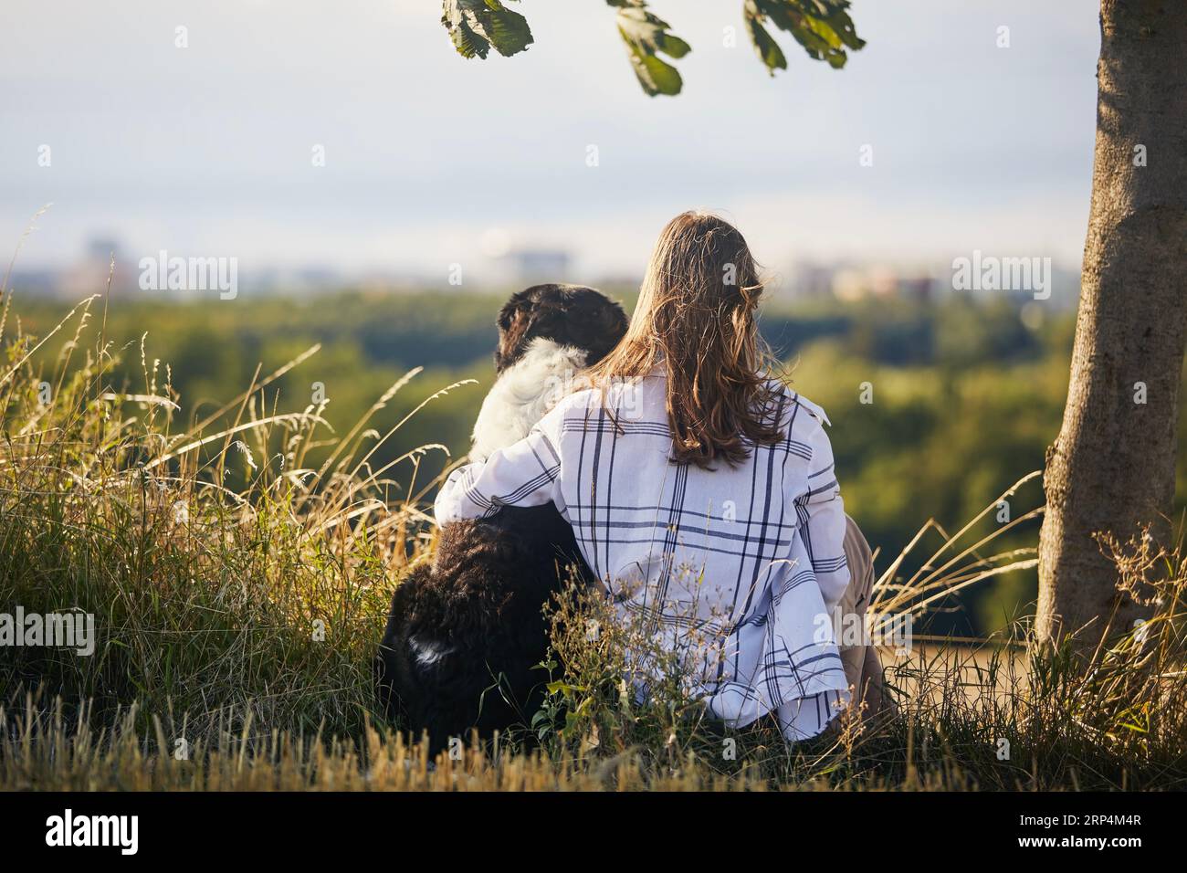Adolescente assise sous l'arbre avec son chien. Vue arrière du propriétaire de l'animal de compagnie et chien de montagne tchèque dans la nature. Banque D'Images