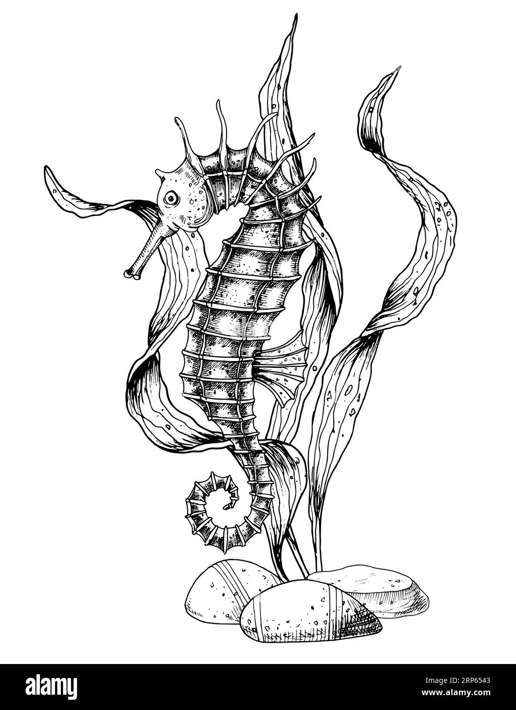 Composition vectorielle avec hippocampe et algues sur fond isolé. Illustration dessinée à la main de Sea Horse peint à l'encre noire. Dessin de la vie sous-marine dans le style d'art de ligne. Flore et faune marines. Illustration de Vecteur