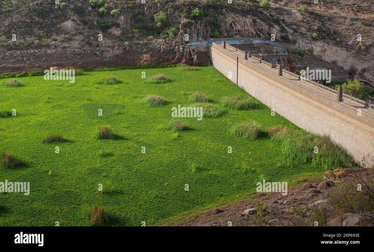 Grand mur de pierre à San Luis Potosi, pendant l'été avec un champ vert de plantes et de rochers, sans personnes Banque D'Images