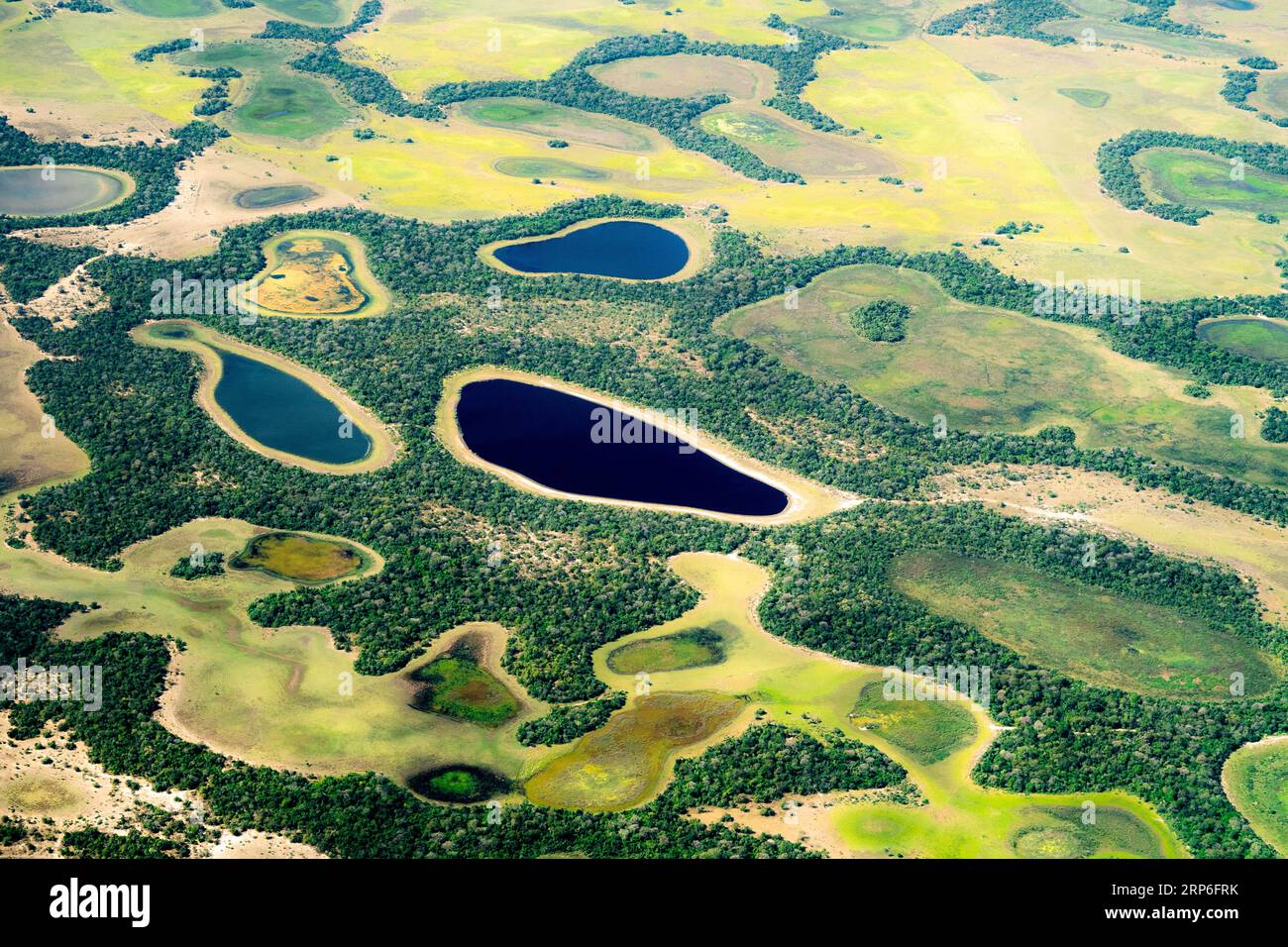 Saison sèche dans la région de Nhecolandia dans l'état du Mato Grosso, Brésil. Banque D'Images