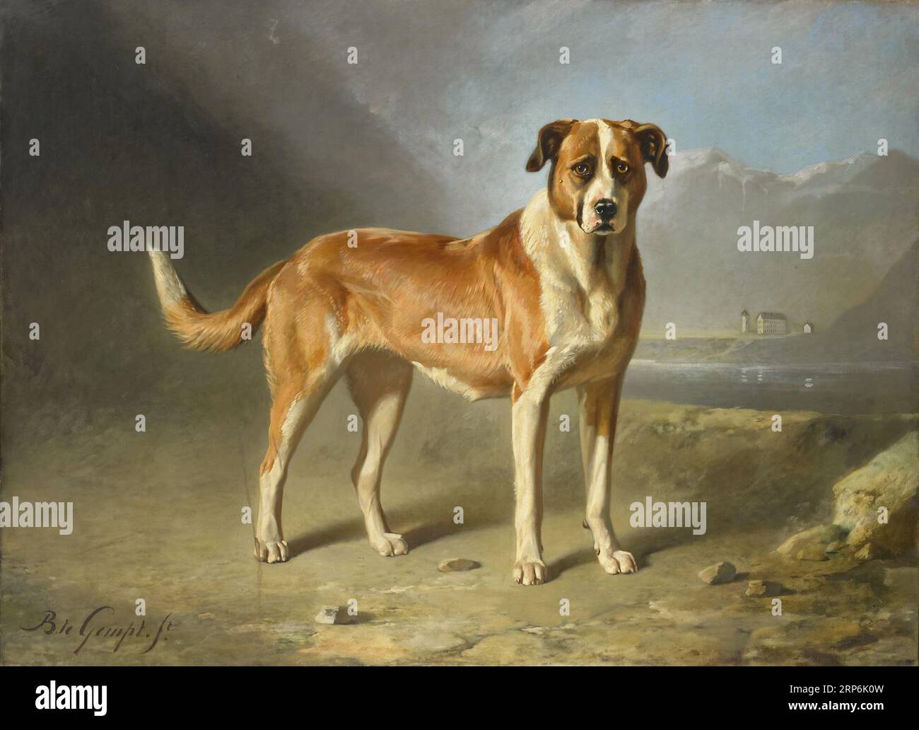Un chien de St Bernard entre circa 1850 et circa 1879 par Bernard te Gempt Banque D'Images