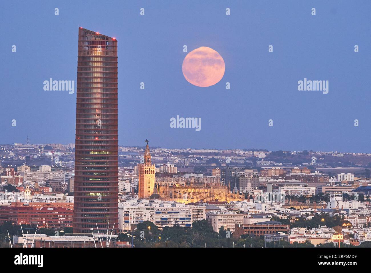 La superbe nuit de la Supermoon de Séville avec la Tour Giralda Banque D'Images