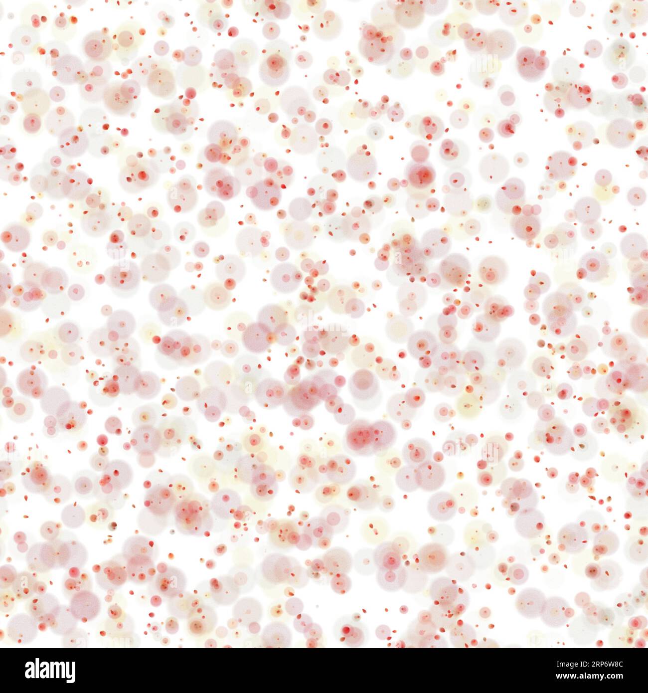 Cercles multicolores pâles aléatoires avec différentes tailles. Couleurs rouge et jaune sur fond blanc. Motif sans couture Banque D'Images