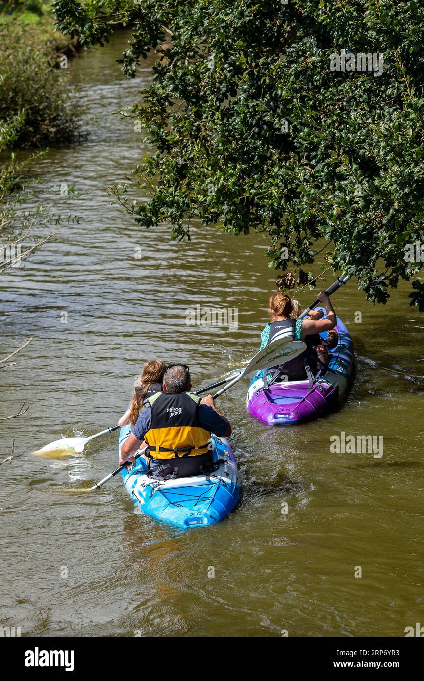 les familles pagayant s'assoient sur des kayaks supérieurs le long d'une rivière sous quelques arbres ensemble sur l'eau ou la rivière Banque D'Images