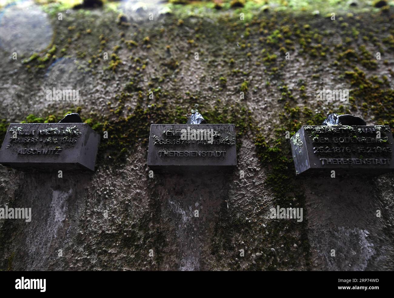 (190127) -- FRANCFORT, 27 janvier 2019 -- la photo prise le 27 janvier 2019 montre les petits blocs sur le mur de l'ancien cimetière juif de Francfort, en Allemagne. Le mur de 286 mètres de long contient plus de 11 900 petits blocs d'acier, qui ont enregistré les noms des Juifs de Francfort déportés et assassinés entre 1933 et 1945. En 2005, l'Assemblée générale des Nations Unies a adopté une résolution désignant le 27 janvier comme Journée internationale de commémoration à la mémoire des victimes de l'Holocauste, jour où le camp d'extermination d'Auschwitz a été libéré en 1945. ALLEMAGNE-FRANCFORT-JOURNÉE INTERNATIONALE DU SOUVENIR DE L'HOLOCAUSTE LUXYA Banque D'Images